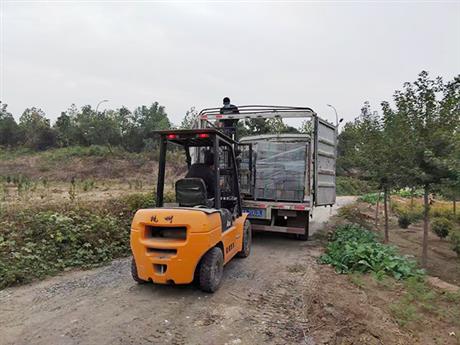 青磚發(fā)貨現(xiàn)場(chǎng)